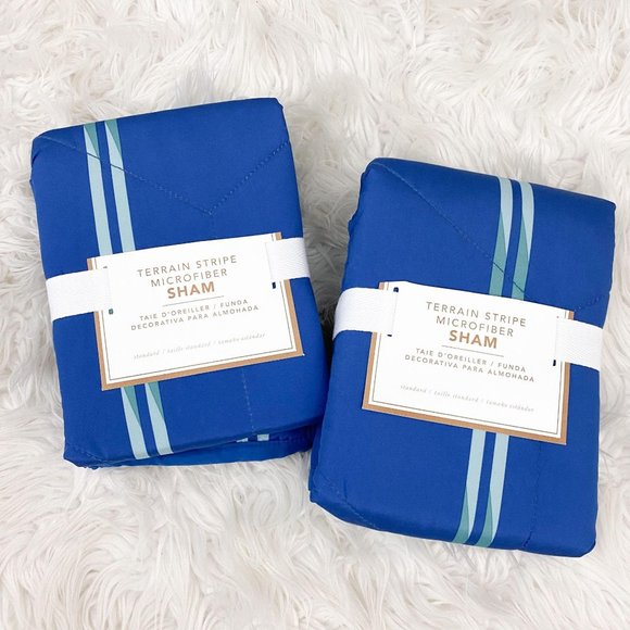 Pottery Barn Teen Terrain Blue Microfiber Sham SET - Picture 1 of 3